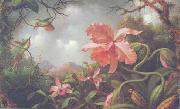 Martin Johnson Heade Orchids and Hummingbirds oil on canvas